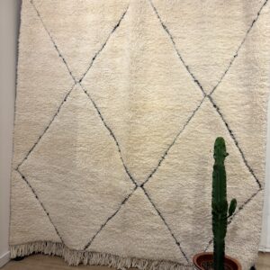 Vloerkleed Aicha 315x185